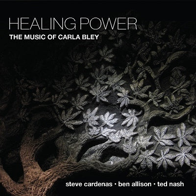 Steve Cardenas 、 Ben Allison 、 Ted Nash - Healing Power - Import CD