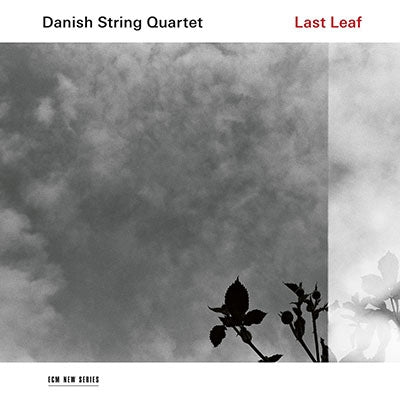 Danish String Quartet - Last Leaf - Import Vinyl LP Record