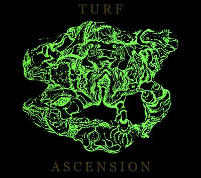 Bubblemath - Turf Ascension - Import CD