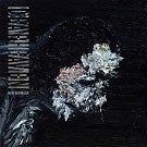 Deafheaven - New Bermuda - Import CD