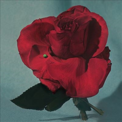 Metz - Up on Gravity Hill - Import Clear with Red Vinyl LP Record Limited Edition