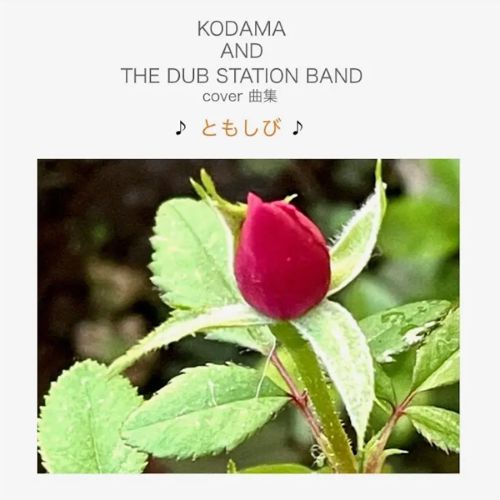Kodama And The Dub Station Band - Cover Kyoku Shu Tomoshibi - Import Vinyl 2 LP Record