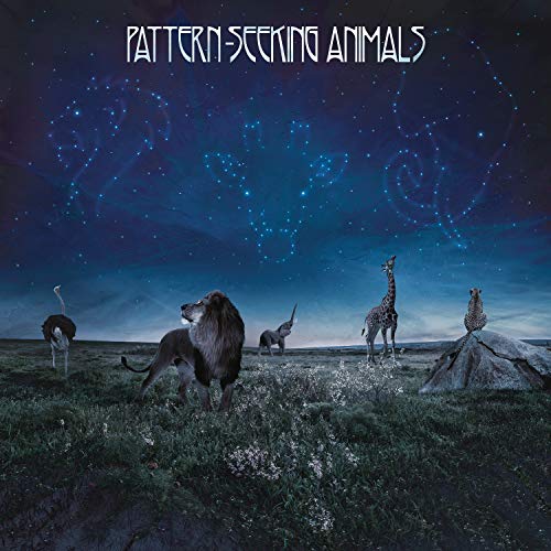 Pattern-Seeking Animals - Pattern-Seeking Animals - Import CD
