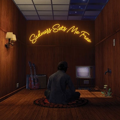 Gruff Rhys - Sadness Sets Me Free - Import Colour Vinyl LP Record
