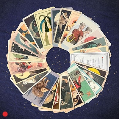 Everything Is Recorded - Porcupine Tattoo - Import Vinyl 7 Inch Single Record Limited Edition