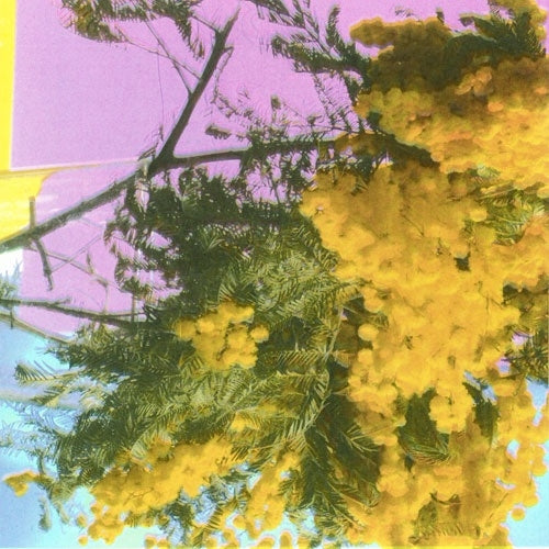 Four Tet - Into Dust (Still Falling) - Import Vinyl 12 inch Record Limited Edition