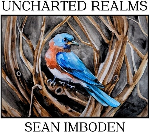 Sean Imboden - Uncharted Realms - Import CD