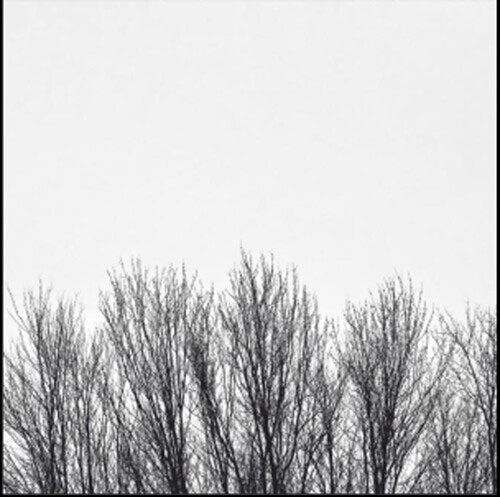 The Northwoods Improvisers - White Sky - Import CD