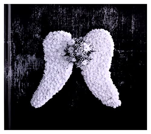Depeche Mode - Memento Mori (Deluxe) - Import CDLimited Edition