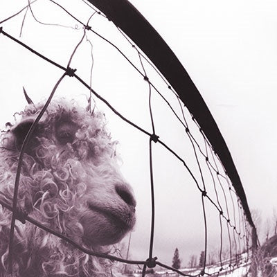 Pearl Jam - Vs. (30Th Anniversary Edition) - Import Clear Vinyl LP Record