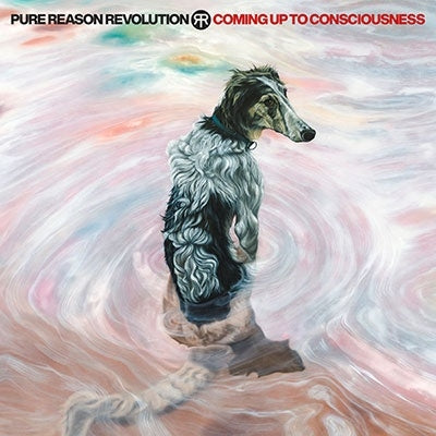 Pure Reason Revolution - Coming Up To Consciousness - Import CD