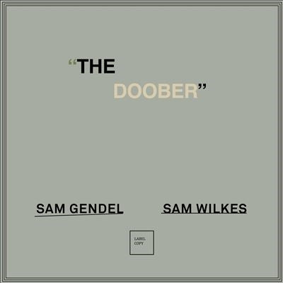 Sam Gendel 、 Sam Wilkes - The Doober - Import Vinyl LP Record
