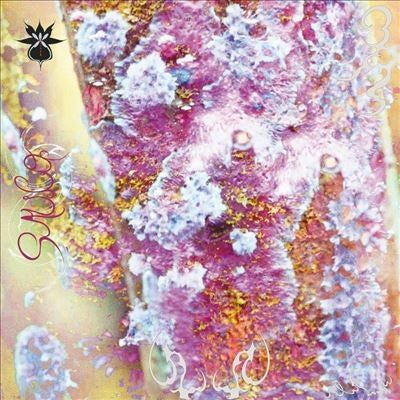 Qoa - Sauco - Import Vinyl LP Record