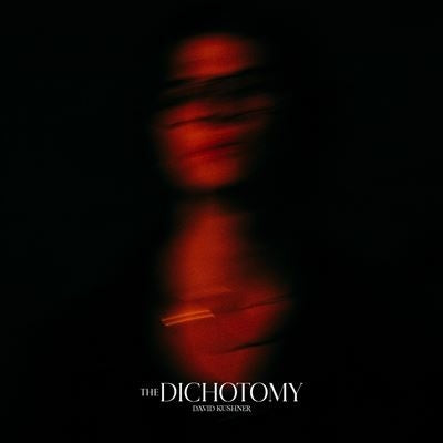 David Kushner - The Dichotomy - Import CD