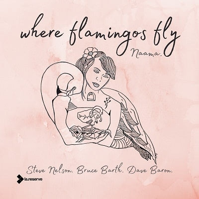 Naama Gheber - Where Flamingos Fly - Import CD