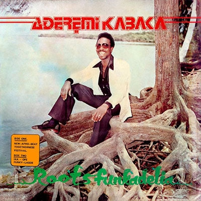 Remi Kabaka - Roots Funkadelia - Import Vinyl LP Record