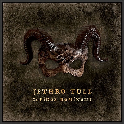 Jethro Tull - Curious Ruminant - Import Vinyl LP Record Limited Edition