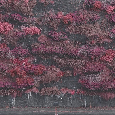 Sleep Token - Even In Arcadia - Import Vinyl 2 LP Record Limited Edition