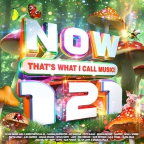 Various Artists - Now! Thats What I Call Music! 121 - Import 2 CD