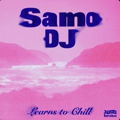 Samo DJ - Learns to Chill - Import Vinyl 12 inch Recurd