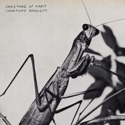 Courtney Barnett - Creature of Habit - Import CD