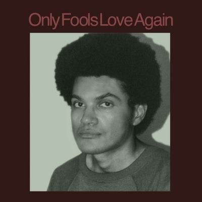 Danny Ayala - Only Fools Love Again - Import LP Record Limited Edition