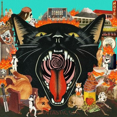 Fantastic Cat - Cat out of Hell - Import CD