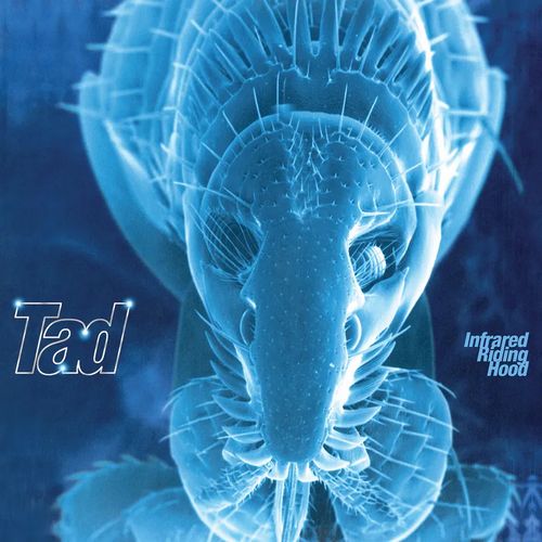 Youth Of Today - We'Re Not In This Alone - Import CD Bonus Track