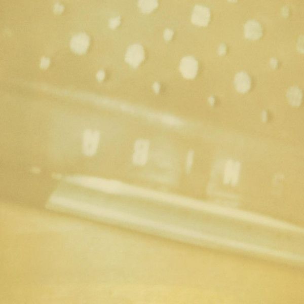 Steve Roden - The Radio - Airria (Hanging Garden) - Vein Stem Is Calm - Import LP Record