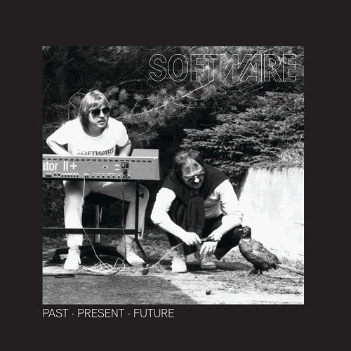 Software - Past . Present . Future - Import Vinyl 12 inch Record