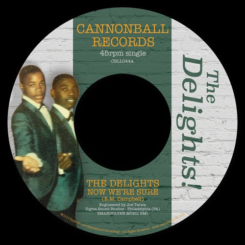 Delights - Now We'Re Sure - Import Vinyl 7 inch Single Record