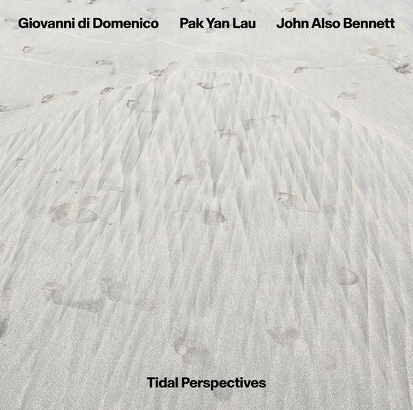 John Also Bennett, Giovanni Di Domenico, Pak Yan Lau - Tidal Perspectives - Import Vinyl LP Record