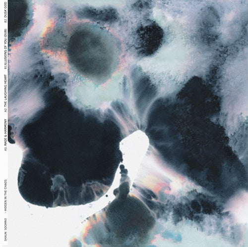 Shaun Soomro - Hidden In The Chaos - Import Vinyl 12 inch Record