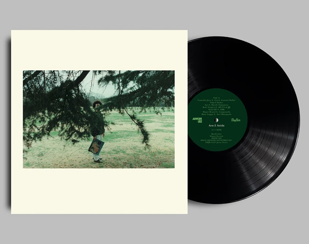 Aru-2 - Anida - Japan LP Record