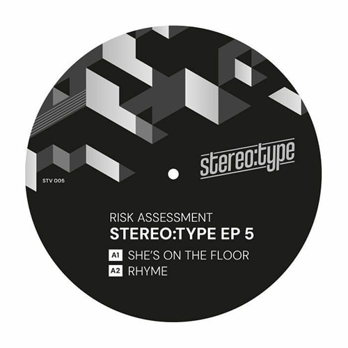 Risk Assessment - Stereo:Type Ep 5 - Import Vinyl 12 inch Record
