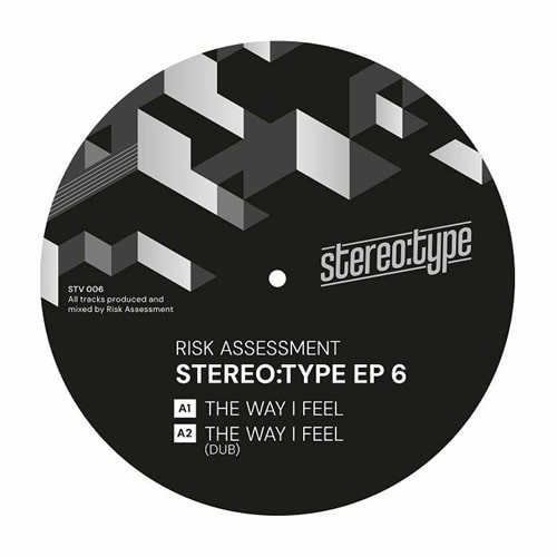 Risk Assessment - Stereo:Type Ep 6 - Import Vinyl 12 inch Record