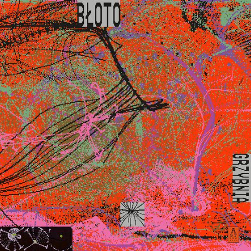 Bloto - Grzybnia - ImportLP Record