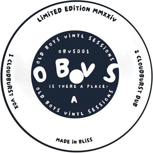 Old Boys Vinyl Sessions - Is There A Place? - Import Vinyl 12 Inch Record