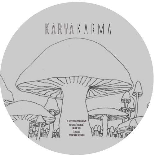 Karya (Detroit) - Karma Ep - Import12 inch Record