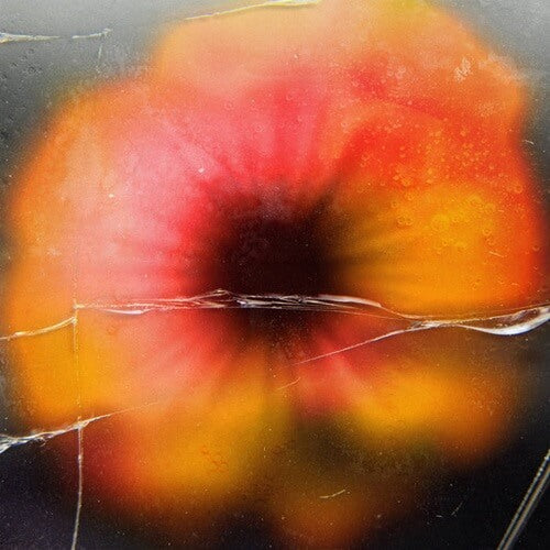 Objekt - Chicken Garaage - Import Vinyl 12 inch Record