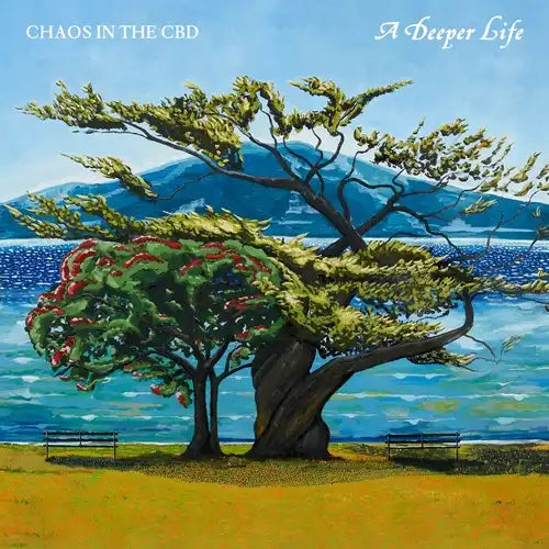 Chaos In The Cbd - Deeper Life - Import Black Vinyl Jacket Sleeve 2 LP Record