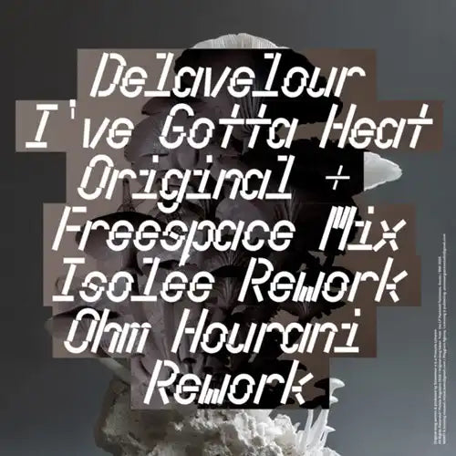 Delavelour - I'Ve Gotta Heat Remixes By Isolee And Ohm Hourani - Import Vinyl 12 Inch Record