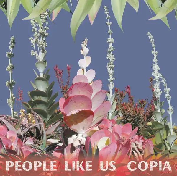 People Like Us - Copia - Import LP Record