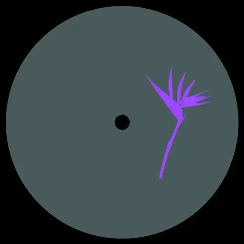 Zenk & Ted Amber - Memesis Ep Incl Ted Amber Remix - Import 12 inch Record