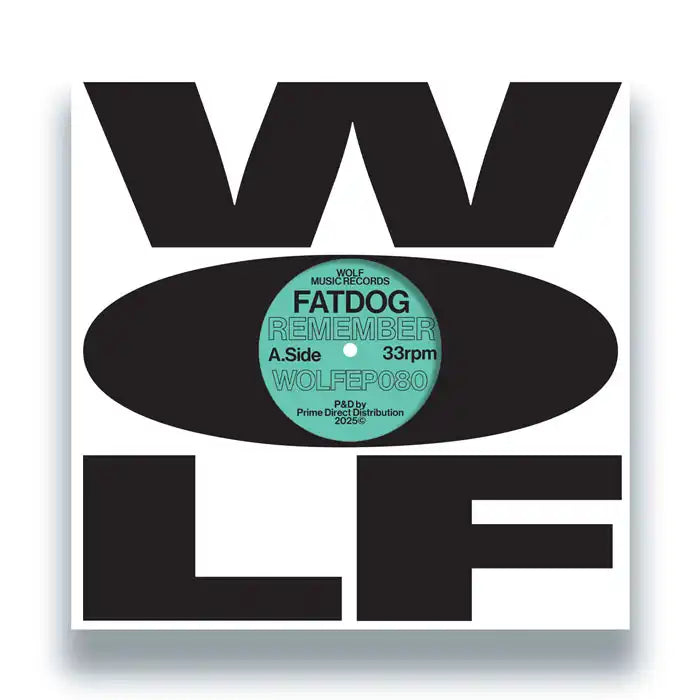 Fatdog - Remember - Import 12 inch Record