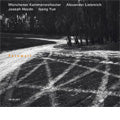 Arekusandaa Riipuraihi - Farewell: Haydn: Chamber Symphony I - Import CD
