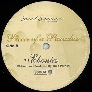 Theo Parrish - Pieces Of Paradox - Import Vinyl 12 inch Record