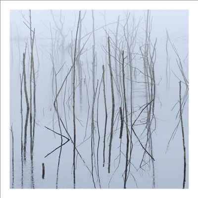 Olhava - Frozen Bloom - Import CD