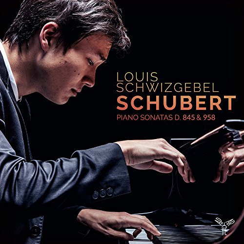 Schubert (1797-1828) - Piano Sonatas Nos.16, 19 : Louis Schwizgebel-Wang - Import CD