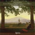 Gaudier Ensemble - Beethoven - Import CD